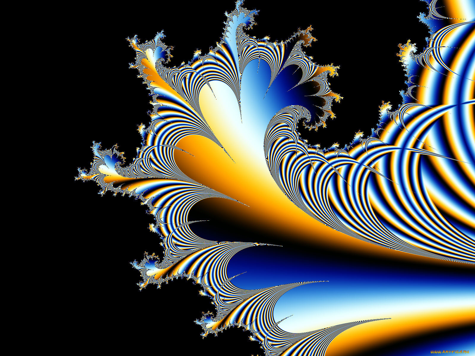 3, , fractal, , , 